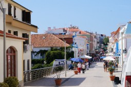 DSC00499